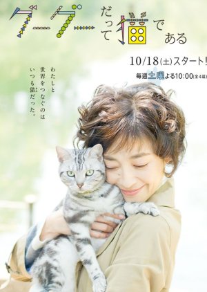 Gou Gou, the Cat (2014) poster