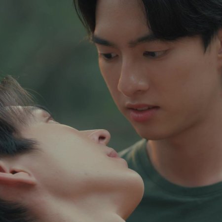When Light Fades (2026)