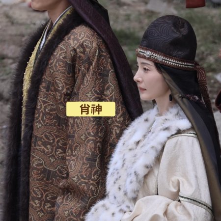 Northern Wei Dynasty ()