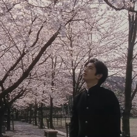 Blue Spring (2002)