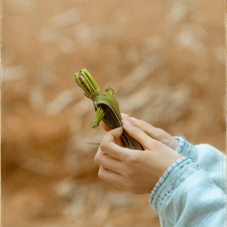 The First Jasmine (2026)