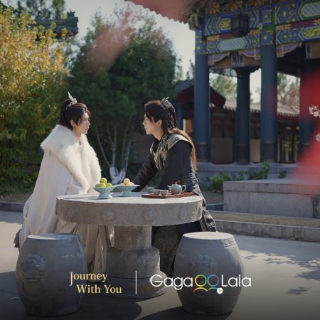 Journey with You (2026)