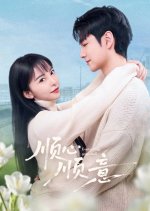 Everything Goes Well Chinese Drama(2025) photo