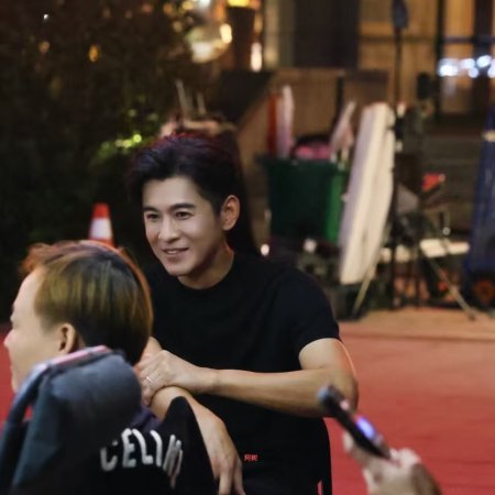 The Vanishing Beauty ()