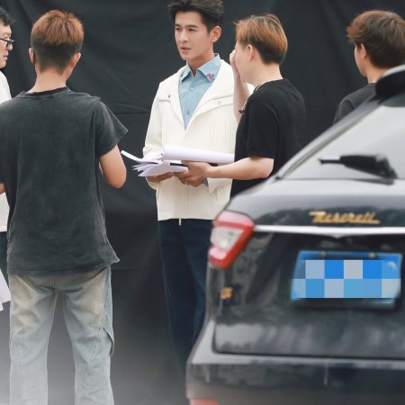 The Vanishing Beauty ()