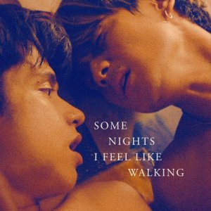 Some Nights I Feel Like Walking (2024)