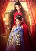 Done Being the Wife  of the Marquis Chinese Drama(2025) photo