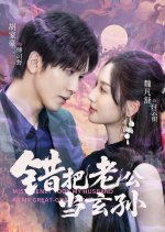 Mistakenly Took My Husband as My Great-Grandson Chinese Drama(2025) photo