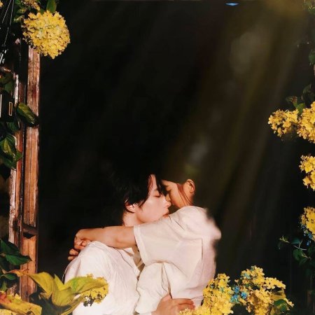 The Dark Side of the Sun (2025)