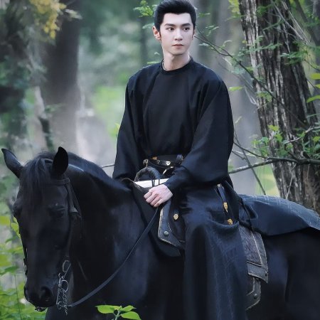 Jiang Shan Wei Pin ()