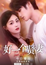 The Good Wife Chinese Drama(2025) photo