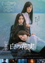 White Flowers and Fruits Japanese Movie(2025) photo