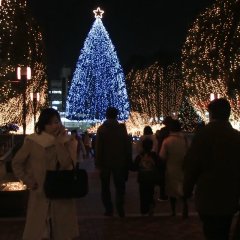 Marriage Ring Japanese Movie photo