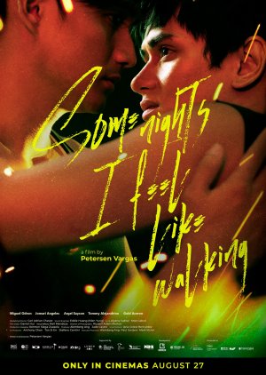 Some Nights I Feel Like Walking poster