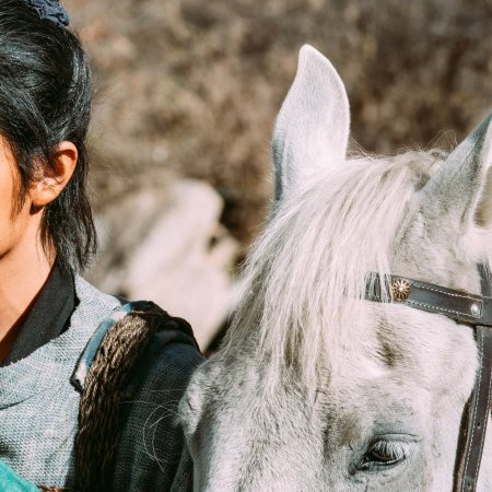 Legends of the Condor Heroes: The Gallants (2025)