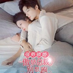 Qiang Shi Suo Hun: Ao Jiao Zong Cai Bie Xiang Pao Chinese Drama photo