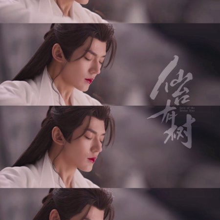 Love of the Divine Tree (2025)