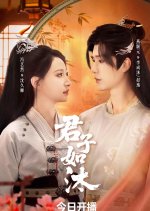A Gentleman Is like a Mu Chinese Drama(2026) photo