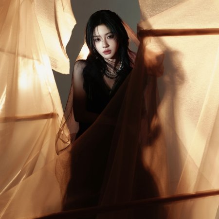 Veil of Shadows (2026)