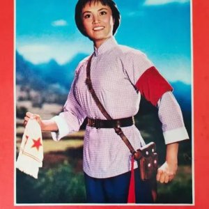 The Azalea Mountain (1974)