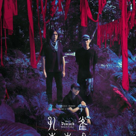 Kong Que Dong Nan Fei ()