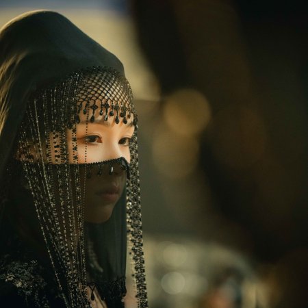 Veil of Shadows (2026)