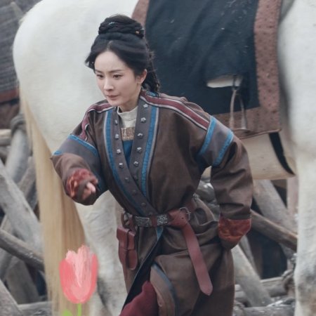 Northern Wei Dynasty ()