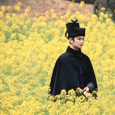 The Palace Stewardess ()