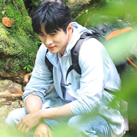 The Leading Stars ()