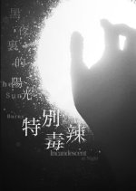 The Sun Burns Incandescent at Night Hong Kong Movie(2026) photo