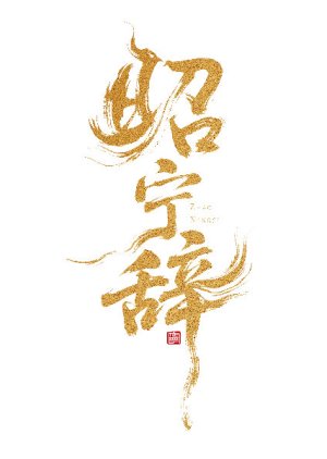 Zhao Ning Ci poster