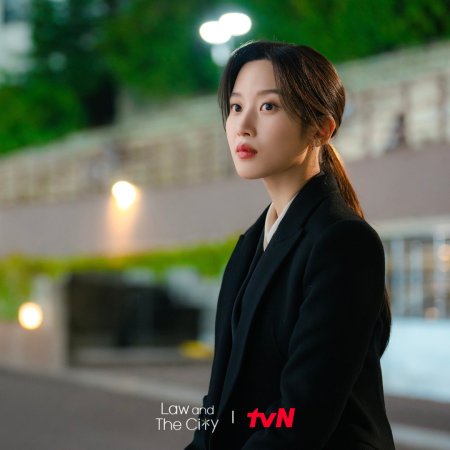 Law and the City (2025)