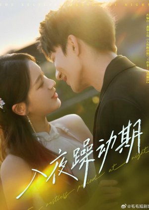 The Restless Period at Night (2025) poster