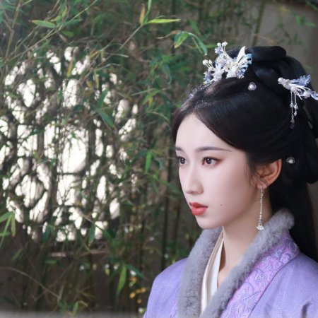 The Princess's Gambit (2025)
