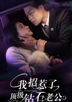 Wo Zhao Re Le Ding Ji Zuan Shi Lao Gong Chinese Drama(2025) photo