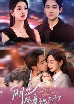 Done Being a Substitute Lover Chinese Drama(2025) photo