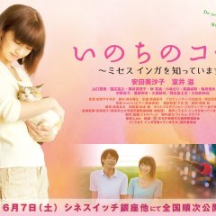 Inochi no Call: Mrs. Inga wo Shitte Imasu ka Japanese Movie photo