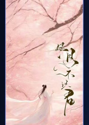 Feng Yue Bu Shi Jun poster