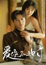 Ai Ni Bu Feng Shi Chinese Drama photo