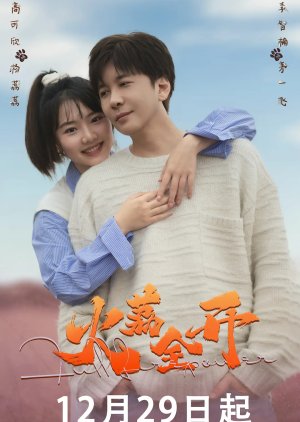 Full Firepower (2025) poster