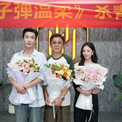 Gentler than a Bullet Chinese Drama(2025) photo