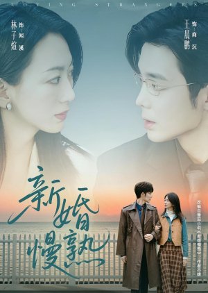 Loving Strangers (2025) poster