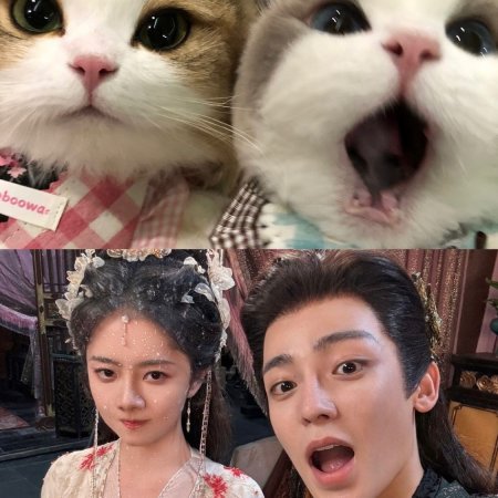 The Unclouded Soul (2025)