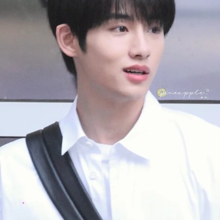 Sunshine through the Rain ()