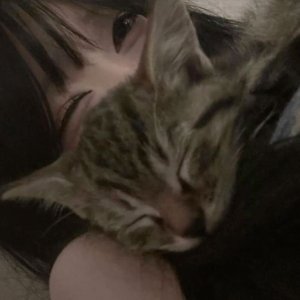 kairi