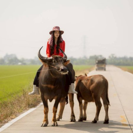 Hometown Romance (2026)