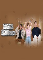 Animals Are Incredible Pilot Korean TV Program photo