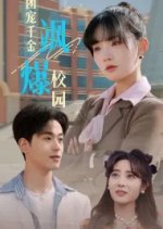 Tuan Chong Qian Jin Sa Bao Xiao Yuan Chinese Drama photo