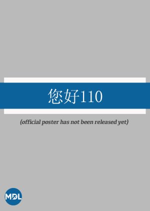 Ni Hao 110 () poster