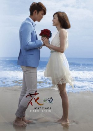 O Que é o Amor (2012) poster
